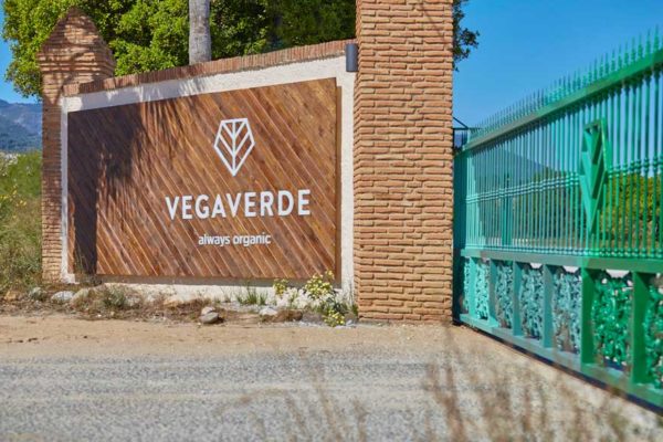 branding espacial del acceso a la empresa Vegaverde