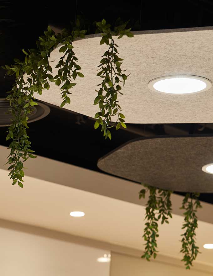 diseno techo acustico y vegetacion en aula
